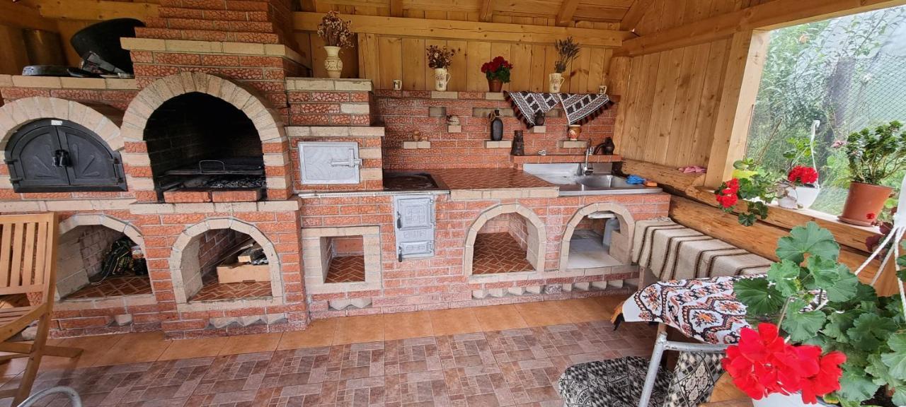 Pensiunea Catalina Moldova Sulita エクステリア 写真
