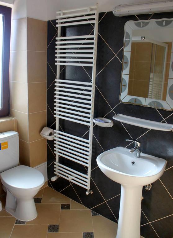 Pensiunea Catalina Moldova Sulita エクステリア 写真