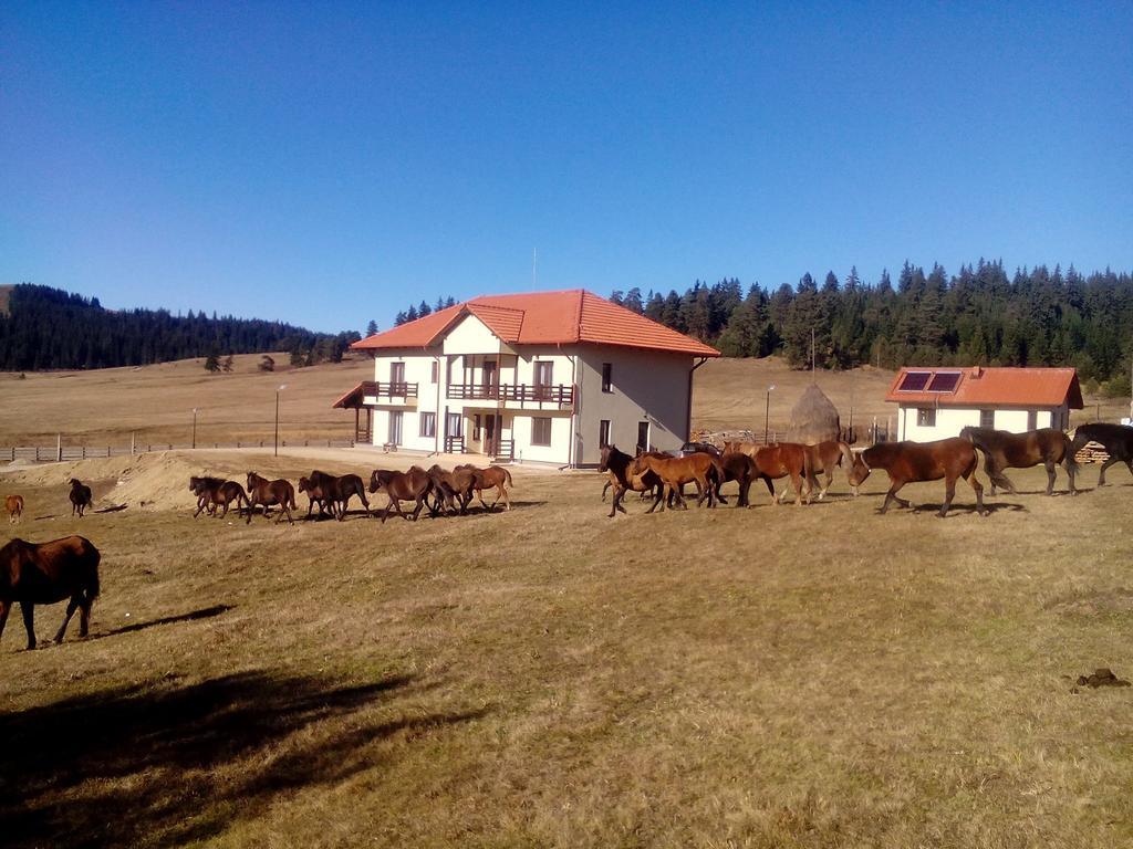 Pensiunea Catalina Moldova Sulita エクステリア 写真