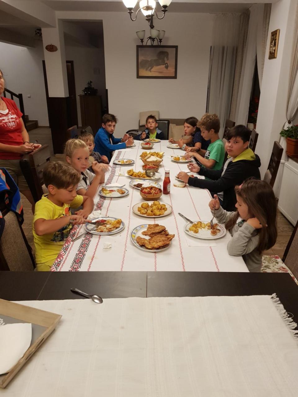 Pensiunea Catalina Moldova Sulita エクステリア 写真
