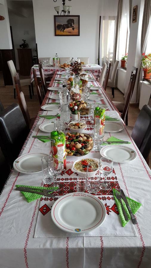 Pensiunea Catalina Moldova Sulita エクステリア 写真
